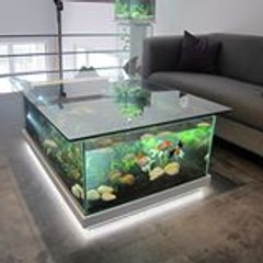 Odysseeaquarium Aquas