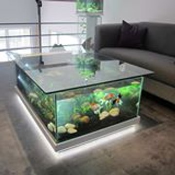 Odysseeaquarium Aquas