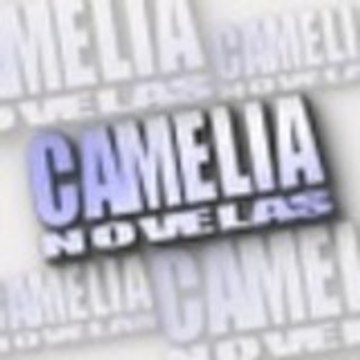 CameliaNovelas