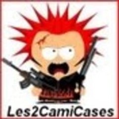 Les2CamiCases