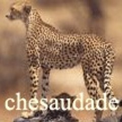 chesaudade