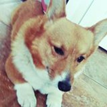 Rainboow Cacolie Thriftinghouse Channel