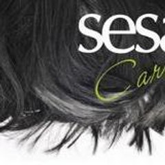 sesacare