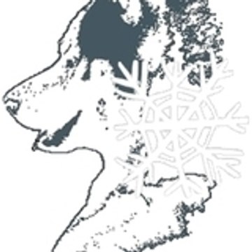 lehuskydesneiges