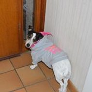 Camille Meslin Auclair