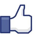 GetFacebooksLikesNow