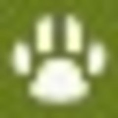 AnimalJamNewCodes