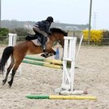 My-LifeMy-Pony