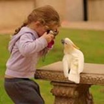 Heba Sallam