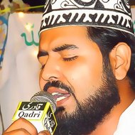 Hafiz Syed Shahzad Ali Shah Official