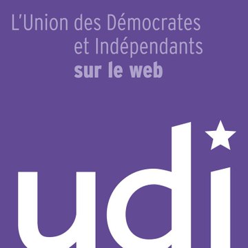 UDI TV