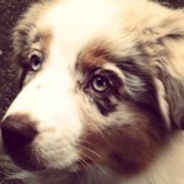 HeavensDoorOfJamandco