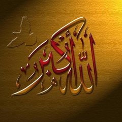 NOUREDDINE