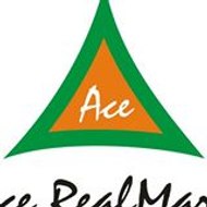 Ace Realmart