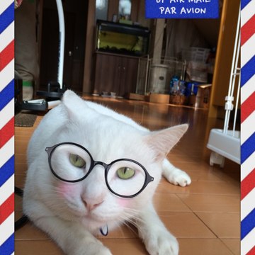 mymaiken