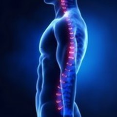 BestScoliosisExercises