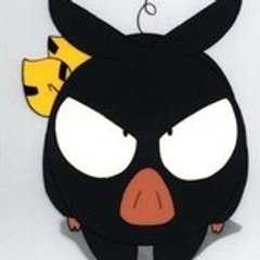 black pig