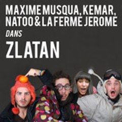 Zlatan Le Film