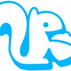 TeamPokki