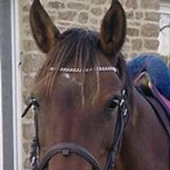 Rubane la Ponette