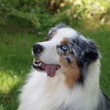 Fifi Huttesdugrandmarais