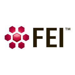 FEI Visualization Sciences Group