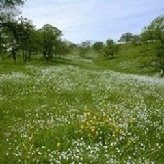 Fanny Sebastien Malgras