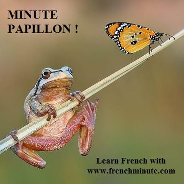FRENCHMINUTE.com