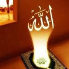 Drshams Mustafa Halepota