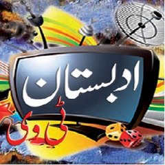 Raza Siddiqi
