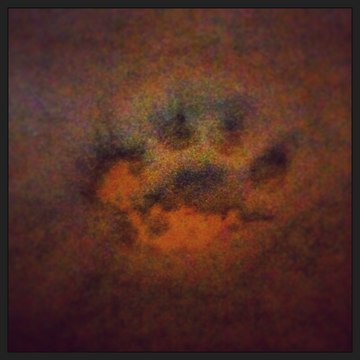 Just-love-cats