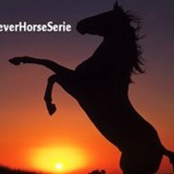 ForeverHorseSerie