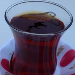 Ahmet Tahir Seziş
