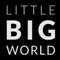 LittleBigWorld