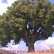 DORUK DER KÜLTÜR DERNEĞİ