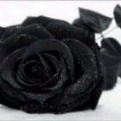 yion