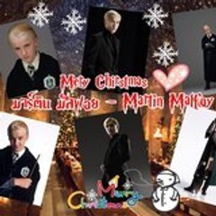 Martin Malfoy
