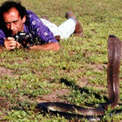 Rafi Toumayan