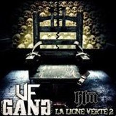 VF GANG