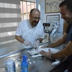 İSMAİL SERDAR SAYAR