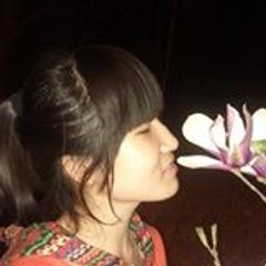 mengyu423
