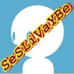 SeSLiVaYBe_