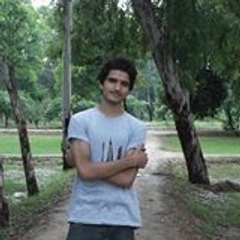 Ali Hamza