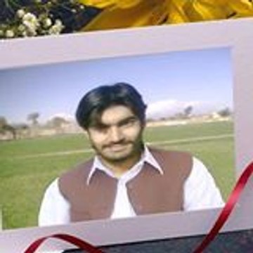 Online Dollar