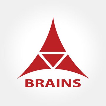 aaabrains SEO Company