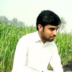 Muhammad Ayoub