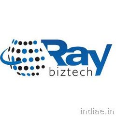raybiztech