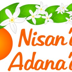 Nisandaadanada