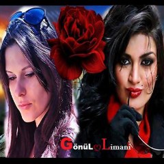 GönüL Limani