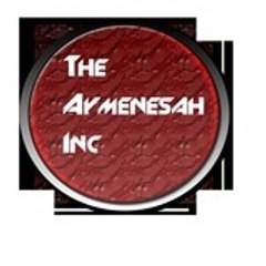 AymenesahInc
